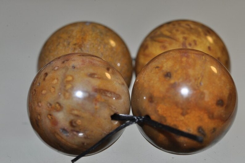 O1322 4 Pieces 16mm ***Excellent Quality~Petrified Fossil PALM WOOD Large Round Beads