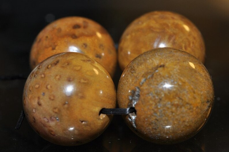 O1322 4 Pieces 16mm ***Excellent Quality~Petrified Fossil PALM WOOD Large Round Beads