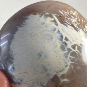 Puede incluir: Una piedra pulida de forma ovalada con una superficie lisa y brillante. La piedra presenta una mezcla de colores marrón claro y blanco, con intrincados patrones en forma de vetas en su superficie. El aspecto general es natural y orgánico.