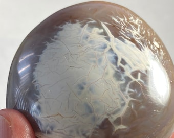 Könnte beinhalten: Ein polierter, oval geformter Stein mit glatter, glänzender Oberfläche. Der Stein weist eine Mischung aus hellbraunen und weißen Farben mit komplizierten, venenartigen Mustern auf seiner Oberfläche auf. Das Gesamtbild ist natürlich und organisch.