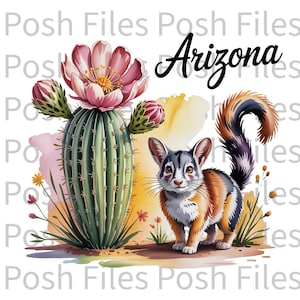 Arizona Aquarell PNG Saguaro Blüte & Ringtail Art 300 DPI Digital Download State Pride Clipart Kommerzielle Nutzung OK