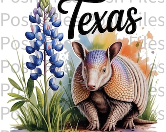 Texas Bluebonnet i Longhorn akwarela PNG (pobieranie cyfrowe)