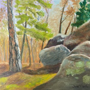 L'Elephant Rock State Park nel Missouri è una stampa di un dipinto a olio originale. Massi e alberi autoctoni sono stati impressionanti durante la nostra escursione naturalistica.