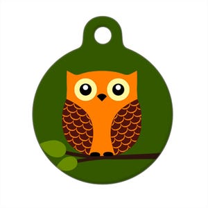 Pet ID Tag - Hoot the Owl