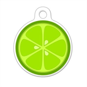 Pet ID Tag - Lime Slice