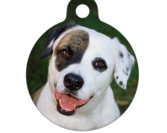 Custom Image Pet ID Tag