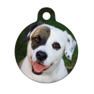 Custom Image Pet ID Tag