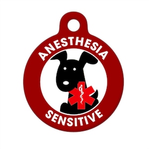 Medical ID Tag - Anesthesia Sensitive Medical Alert Cat