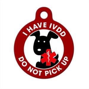 Medical ID Tag - I Have IVDD, Do Not Pick UP - Black Dog