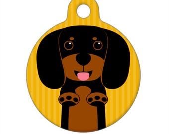 Etiqueta de identificación de mascota: raza de perro Dachshund negro y marrón