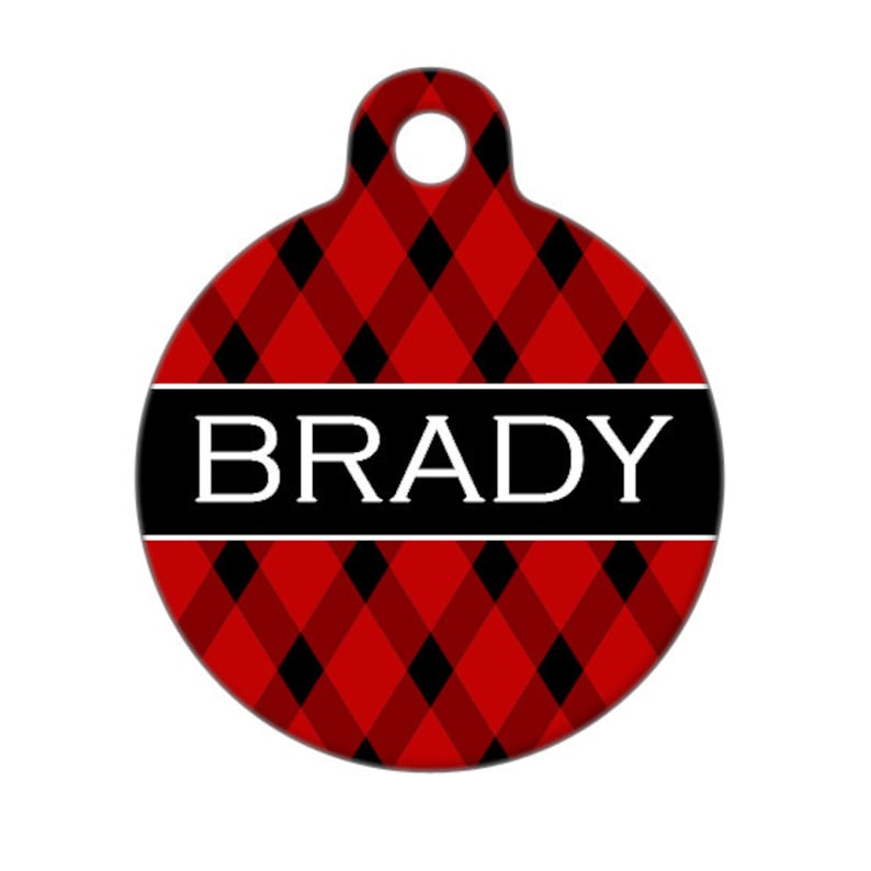 Pet ID Tag Brady Custom Name on Front image 1