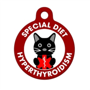 Pet ID Tag - I Have Hyperthyroidism Black Cat