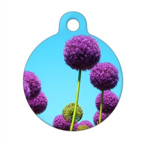 Pet ID Tag - Allium Pom Pom Flowers Photo