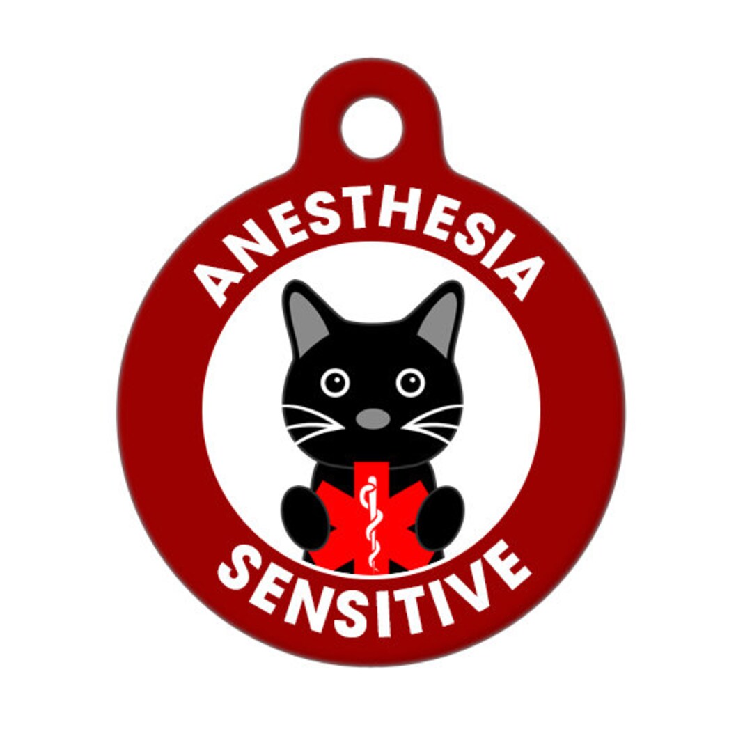 Medical ID Tag Anesthesia Sensitive Medical Alert Cat Etsy