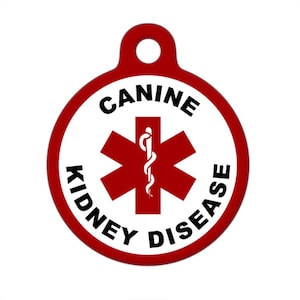 Medical ID Tag - Canine Kidney Disease Medical Alert