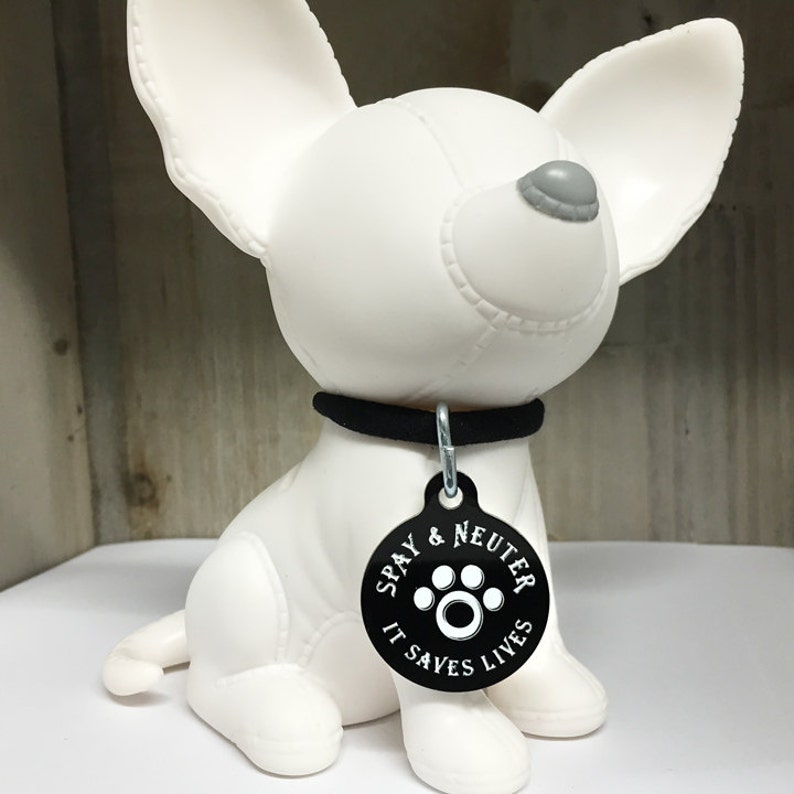 Pet ID Tag Spay and Neuter Etsy