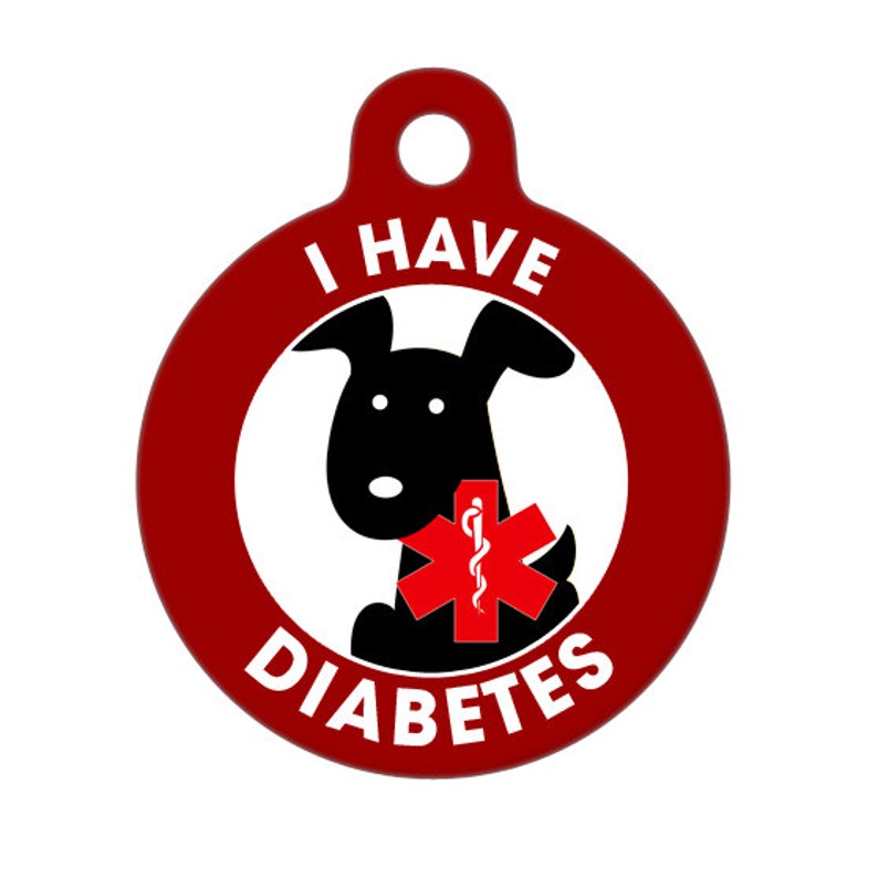 Medical ID Tag I Have Diabetes Dog Medical Alert Etsy