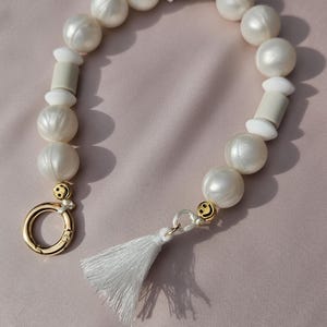 Dog chain tick chain EM ceramic