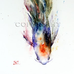 KOI Watercolor Print, Fish Painting by Dean Crouser