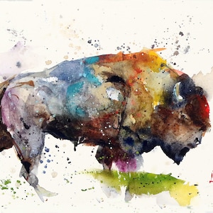 BUFFALO Bison Watercolor Print by Dean Crouser