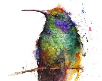 May include: Watercolor painting of a hummingbird perched on a branch. The bird is green, blue, and purple with a long, thin beak. The background is white with splashes of color.