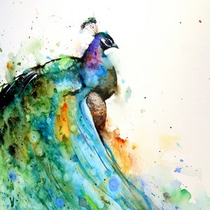 PEACOCK Watercolor BIRD Print, Bird Art by Dean Crouser image 1