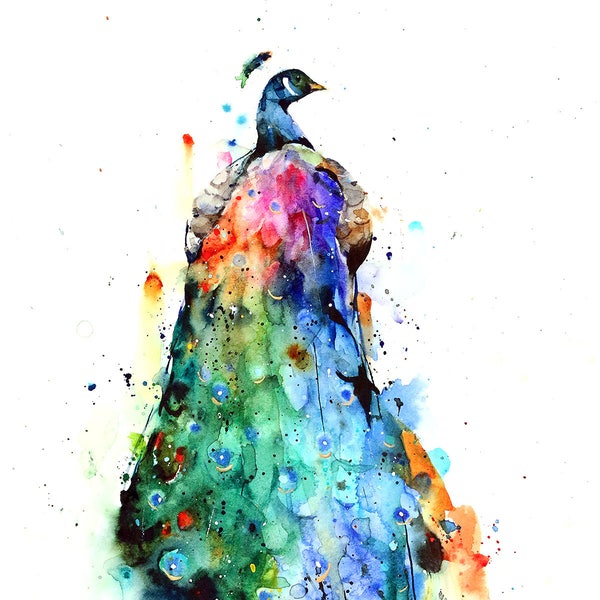 PEACOCK Colorful Watercolor Bird Print by Dean Crouser