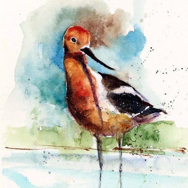 SHOREBIRD Watercolor Bird Print by Dean Crouser