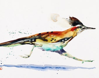 ROADRUNNER Wildlife Watercolor Bird Print by Dean Crouser