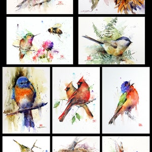 Cartes de voeux OISEAUX chanteur, colibri, bourdon et nid d'oiseau, lot de 10, aquarelle par Dean Crouser
