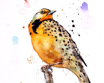 MEADOWLARK Watercolor Bird Print by Dean Crouser