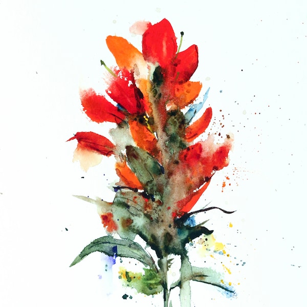 INDIAN PAINTBRUSH Floral Watercolor Print by Dean Crouser