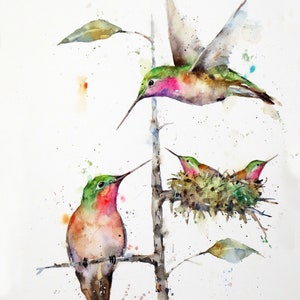 HUMMINGBIRD Watercolor Print Family Hummingbirds by Dean Crouser