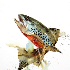 BROWN TROUT Watercolor Fish Print by Dean Crouser