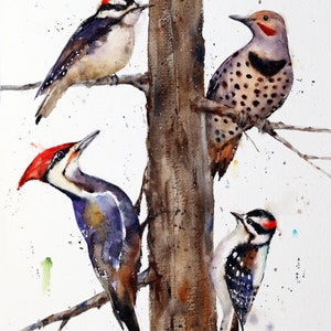 WOODPECKER Watercolor Print with Pileated, Flicker, Downy Woodpeckers by Dean Crouser