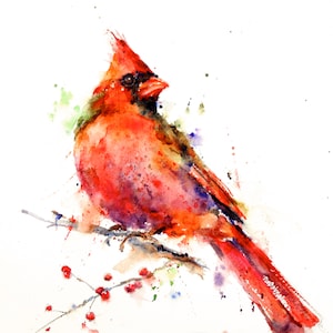 CARDINAL Watercolor Bird Art Print, Cardinal Painting, by Dean Crouser