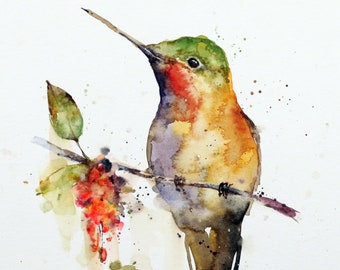 HUMMINGBIRD on BRANCH Watercolor Bird Print by Dean Crouser