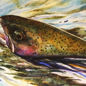 RAINBOW TROUT Watercolor Print, Fish Art by Dean Crouser