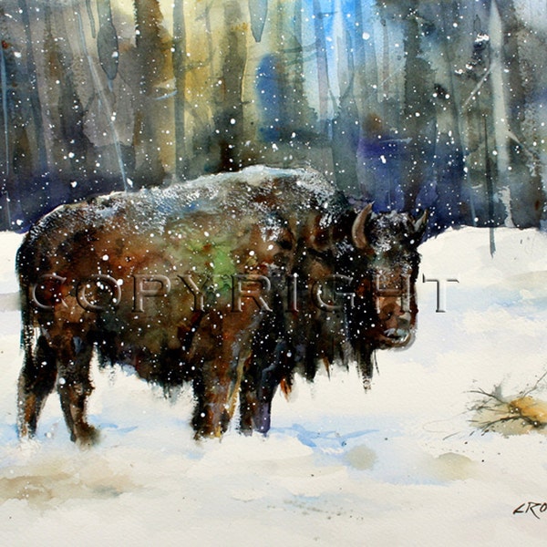 WINTER BISON Buffalo Watercolor Print by Dean Crouser