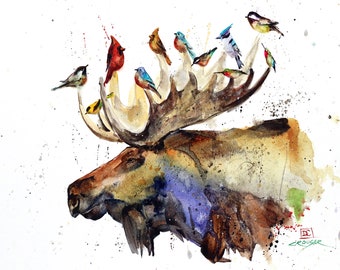 MOOSE & BIRDS Tarjetas de felicitación en blanco, Conjunto de 8, Arte de vida silvestre en acuarela por Dean Crouser