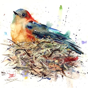 BLUEBIRD Watercolor Bird Art Print by Dean Crouser