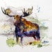 MOOSE Watercolor Nature Art Print by Dean Crouser