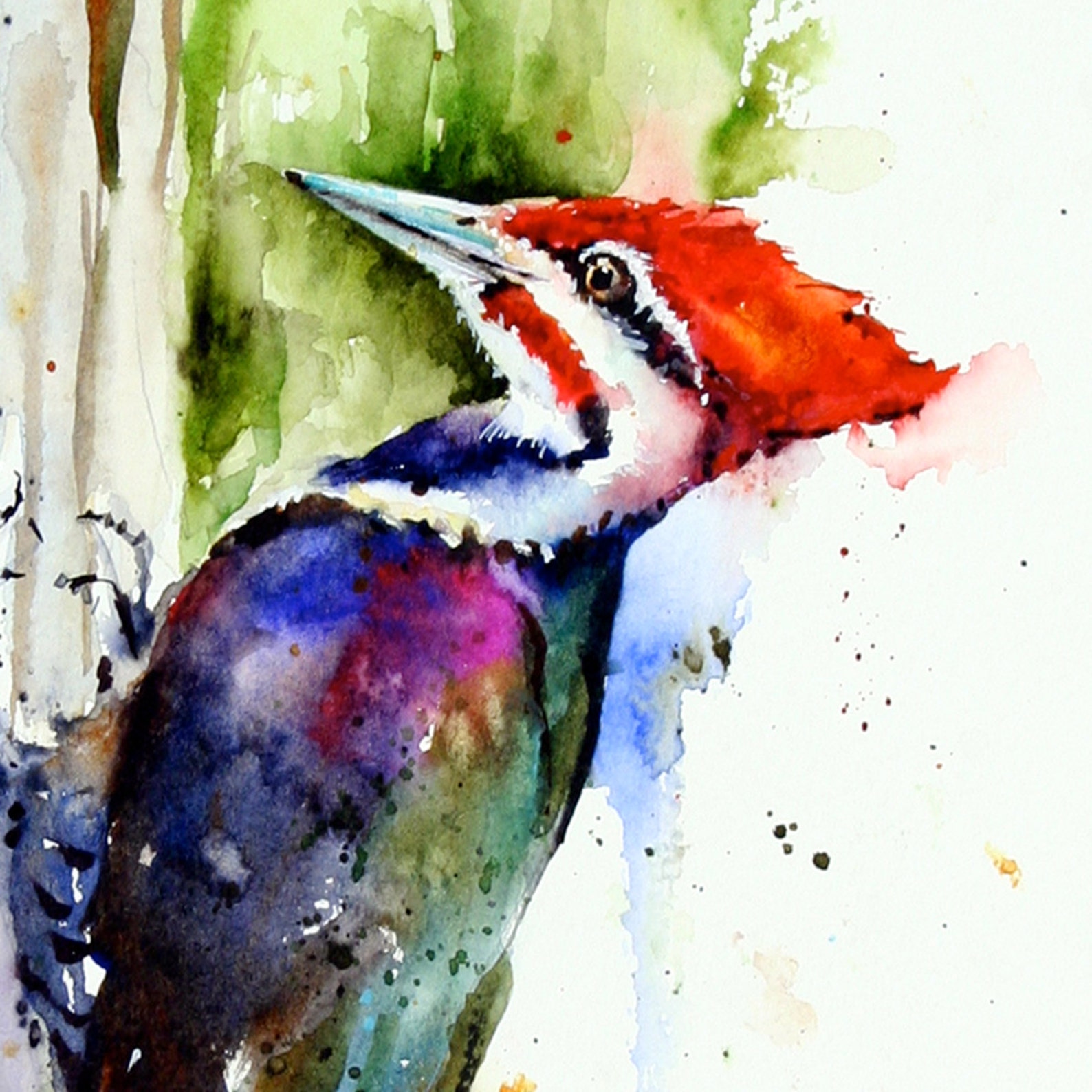 PILEATED WOODPECKER Watercolor Print by Dean Crouser - Etsy