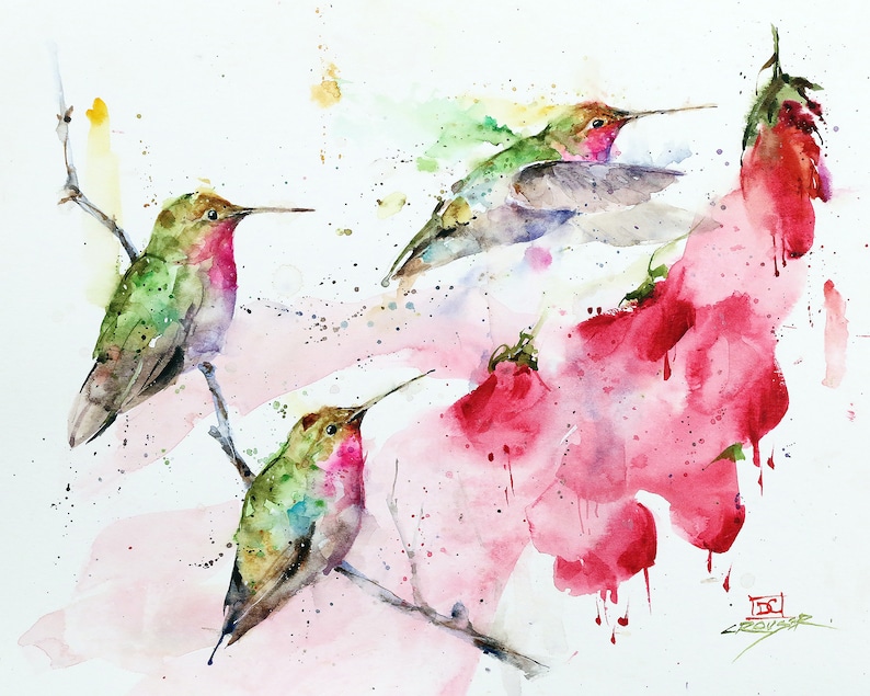 Download Hummingbird And Flowers Watercolor Bird Print By Dean Crouser Painting Art Collectibles Womenintech Fi