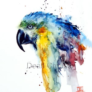 MACAW Watercolor Print by Dean Crouser imagem 2