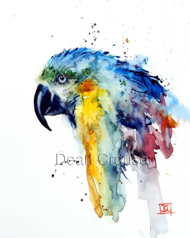 MACAW Watercolor Print by Dean Crouser image 2