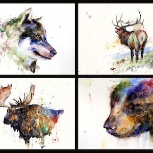 GREETING CARD Set 5 x 7" Moose, Bear, Wolf, Elk Watercolor Art by Dean Crouser, Set of 8 Cards, Free Shipping!