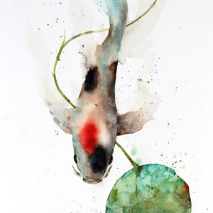 KOI and LILY Pad Watercolor Fish Print by Dean Crouser