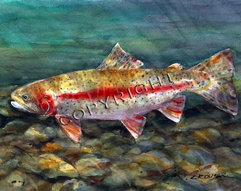 RAINBOW TROUT Watercolor Fish Print by Dean Crouser