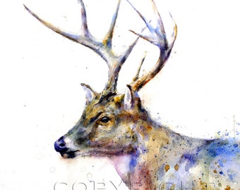 WHITETAIL DEER Watercolor Colorful Animal Nature Print by Dean Crouser